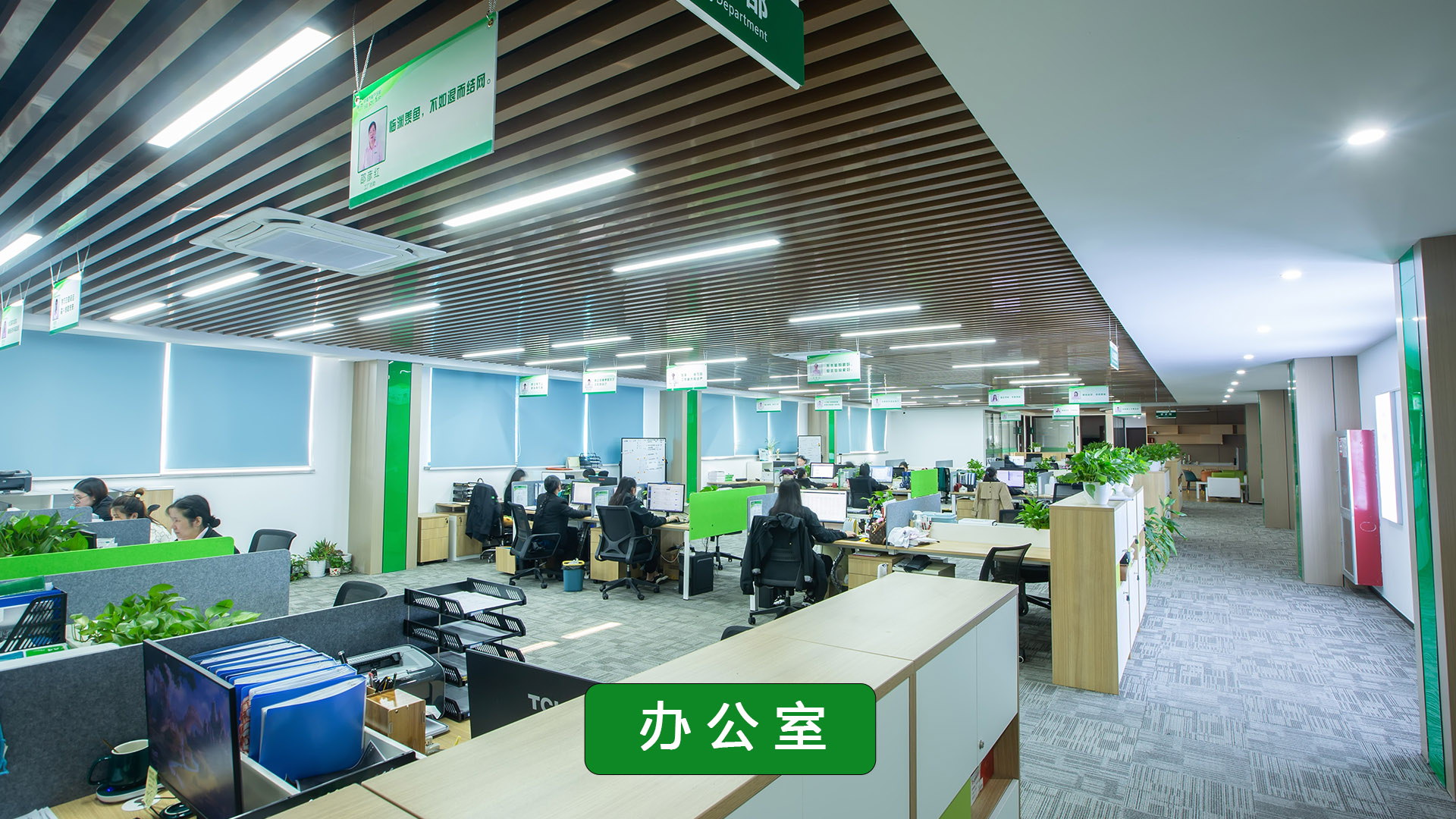 萨震办公环境